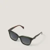 Acetate Tort Wayfarer Sunglasses
