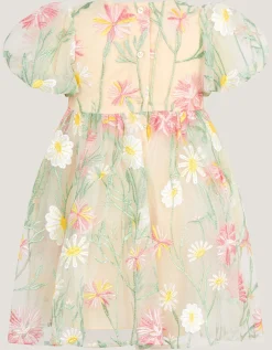 Baby Celina Daisy Embroidered Party Dress White