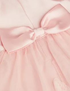 Baby Eden Appliqué Rose Tulle Dress Pink