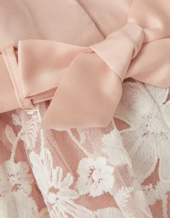 Baby Felicity Embroidered Floral Dress Pink