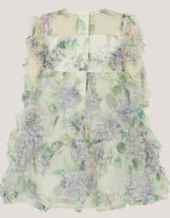 Baby Hydrangea Print Ruffle Dress Multi