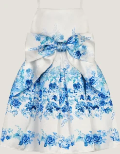 Baby Rose Print Bow Party Dress Multi