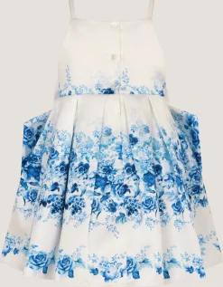 Baby Rose Print Bow Party Dress Multi