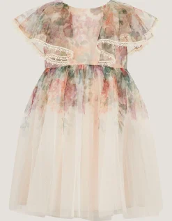 Baby Vintage Flower Tulle Party Dress Multi