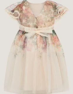 Baby Vintage Flower Tulle Party Dress Multi