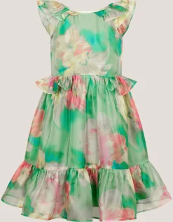 Blurry Floral Organza Ruffle Dress Green