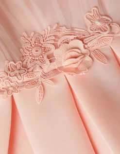 Chiffon Sleeve Floral Embroidered Dress Pink