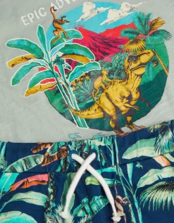 Dinosaur Print T-Shirt & Shorts Set Green