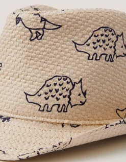 Dinosaur Trilby Hat Multi