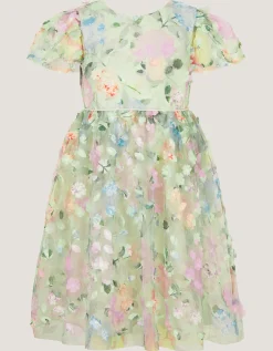 Eliza Floral Appliqué Party Dress Multi