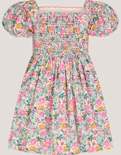 Embroidered Floral Dress Multi