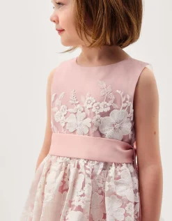 Felicity Floral Embroidered Mesh Dress Pink