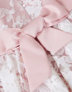Felicity Floral Embroidered Mesh Dress Pink