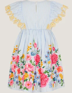 Floral Stripe Broderie Sleeve Dress Blue