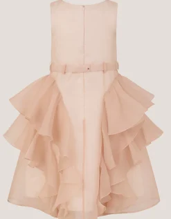 Joanie Organza Ruffle Party Dress Pink