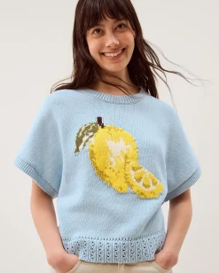 Lizzie Lemon Short Sleeve Jumper Blue