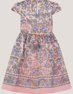 Poppy Floral Paisley Print Dress Pink