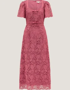 Regina Short Sleeve Lace Midi Dress Pink