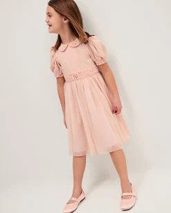Romee Puff Sleeve Embroidered Party Dress Pink