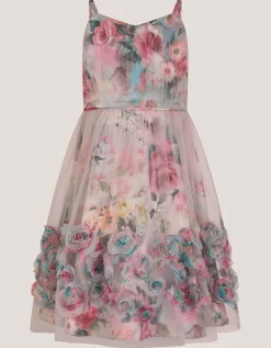 Rose Appliqué Tulle Dress Multi