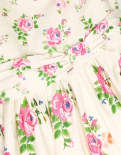 Rose Border Print Party Dress Multi