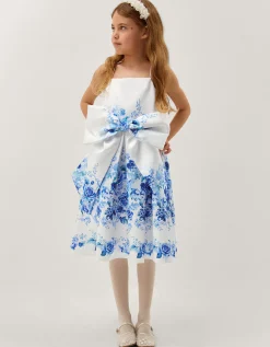 Rose Print Bow Party Dress Multi