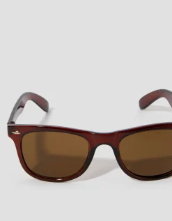 Wayfarer Sunglasses